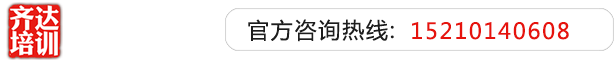 黄色网站中国大妈操逼视频齐达艺考文化课-艺术生文化课,艺术类文化课,艺考生文化课logo